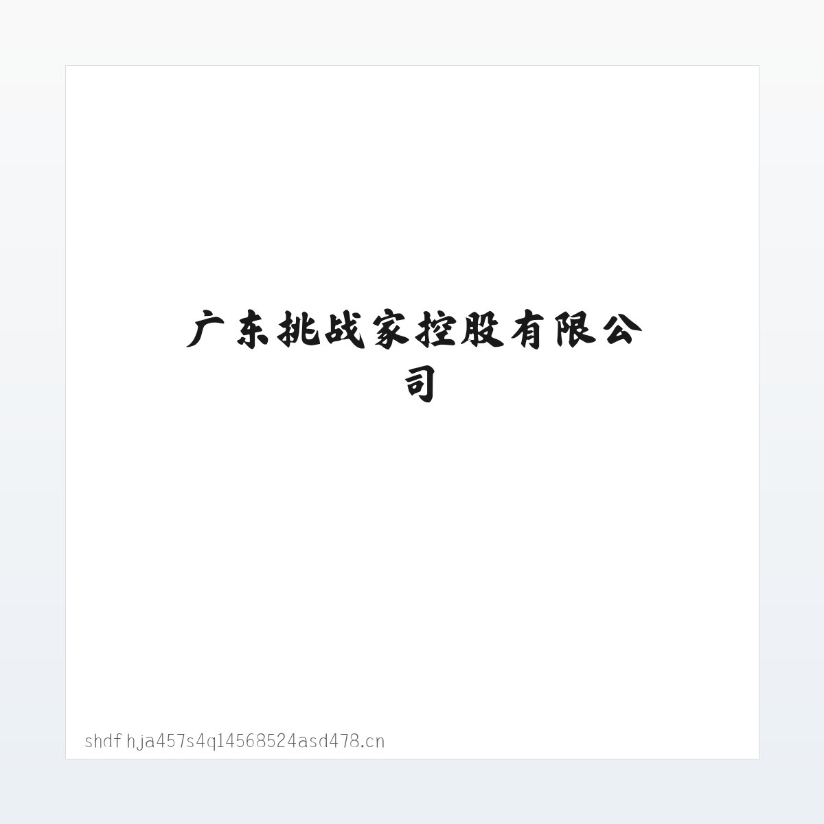 广东挑战家控股有限公司 方图