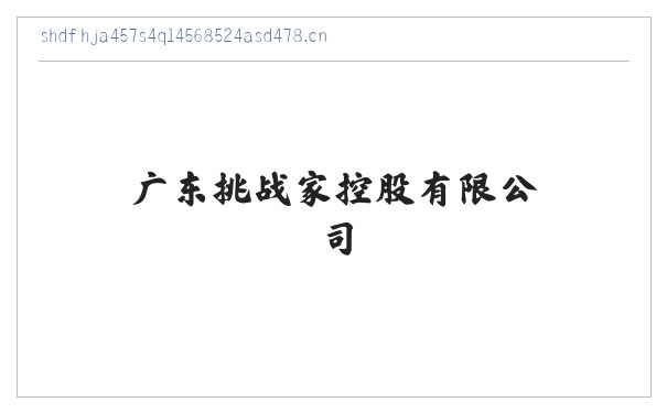 广东挑战家控股有限公司 缩略图