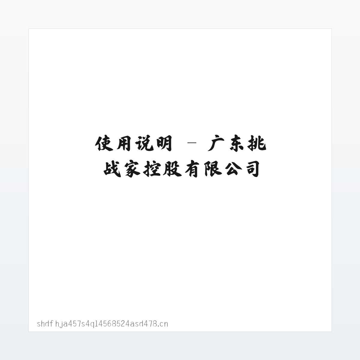 图文信息 - 广东挑战家控股有限公司 方图